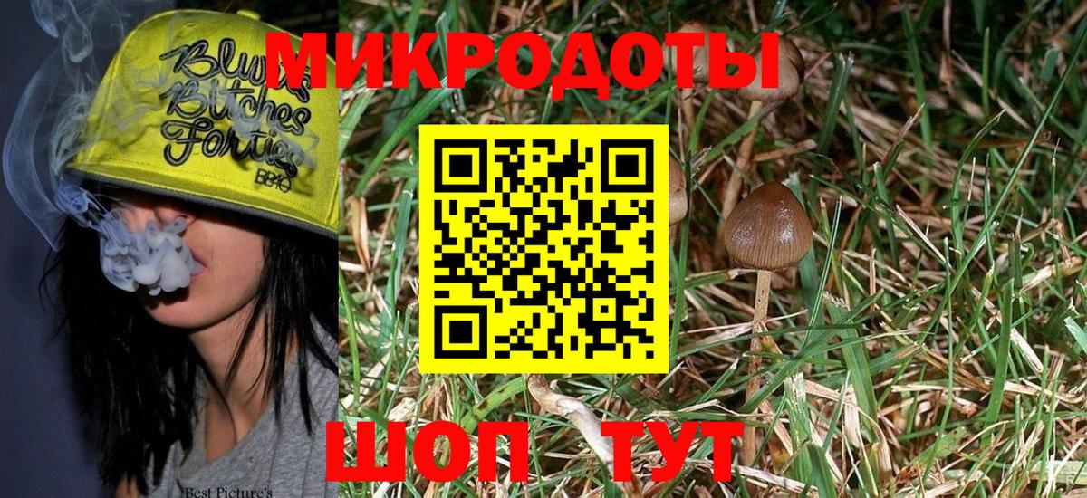 Галлюциногенные грибы Magic Shrooms Тольятти